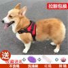 狗狗牵引绳背心式遛狗绳子泰迪法斗柯基中型犬小型犬宠物用胸背带 红色单背带[收藏送礼] xs码[建议5-10斤]