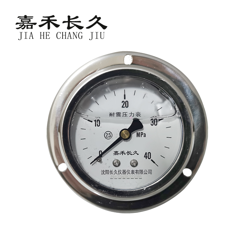 嘉禾长久/耐震压力表轴向带边/YN60ZT/个 0-40Mpa