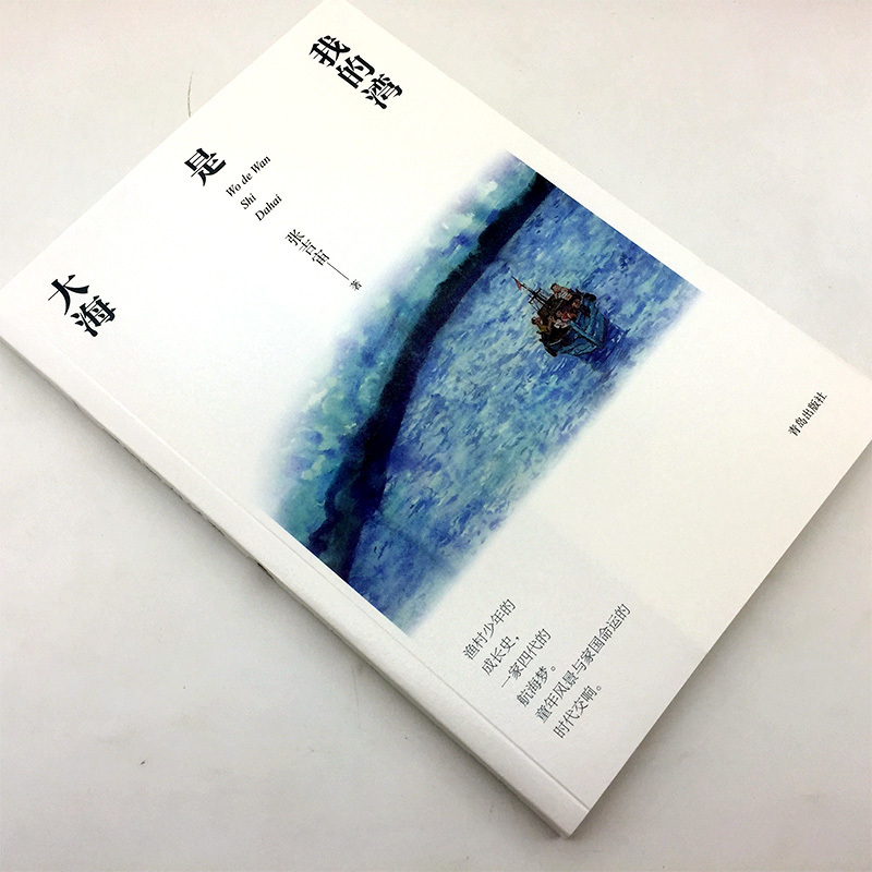 [正版]我的湾是大海 张吉宙 著 纸房子系列 中国儿童文学三四年级阅读2019阅读绘画漫画连环画卡通故事儿童文学书