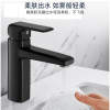 法恩莎卫浴 水龙头 洗面盆浴室柜龙头 简约黑色冷热单孔洗漱卫生间家用 F1A8821MB