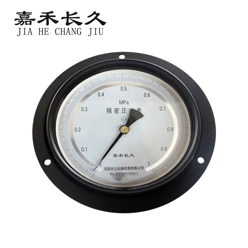 嘉禾长久+精密压力表轴向带边检测定制型+YB150ZT+块高清大图