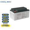 爱维达(EVADA)免维护蓄电池DT12-65