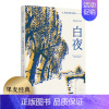 [正版]白夜 陀思妥耶夫斯基 小说|世界名著 全彩插图版 一场迷人的爱情 笔下的年轻人 孤独却又社恐 梦想爱一个人