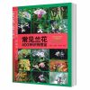正版 常见兰花400种识别图鉴 吴棣飞 兰花图鉴基础知识 科普百科书籍 种类分类 园艺栽培 兰科植物 自然科学