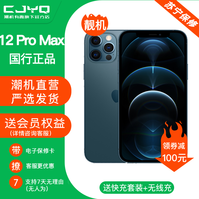 【二手95新】Apple iPhone12Promax 蓝色 256GB 苹果12PM 国行全网通 正品