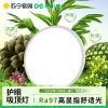 禾小安护眼小禾系列简约现代客厅卧室吸顶灯/HC8001-500/天猫精灵/普瑞/白