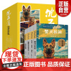 动物小说大王沈石溪系列典藏4册全新套装警犬拉拉+老虎哈雷+睡蟒边的雪兔+我们一起走迪克 警犬拉赞青少年优秀图书吉林美术