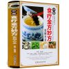中医食疗金方妙方实用大全彩图版精装 食物疗法饮食养生药方保健