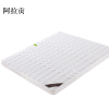 阿拉贡椰棕床垫家用棕垫B10cm厚(防螨针织+2cm乳胶+0胶水天然椰棕)1200mm*2000mm