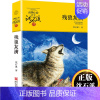 残狼灰满 [正版]狼王梦沈石溪动物小说系列品藏书系后一头战象8-10-12-15周岁儿童文学三四五六年级中小学生课外书浙