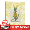 我的手绘博物馆:果蔬 科普百科 浪花朵朵童书 法国童书出版人联手专业科学插画家打造献给孩子的手绘博物馆