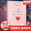 欢迎回家 露西亚 伯林 北京十月文艺出版社 外国文学小说随笔 给人生阵痛 城市漂泊者的希望 新华正版书籍