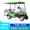 电动高尔夫球车4-6-8座公园景区旅游观光车小区楼盘售楼处看房车酒店高铁接待游览摆渡电瓶车