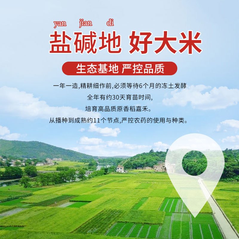 金龙鱼盘锦大米500g*2蟹田大米粳米宿舍家庭用米团购小包装东北大米高清大图