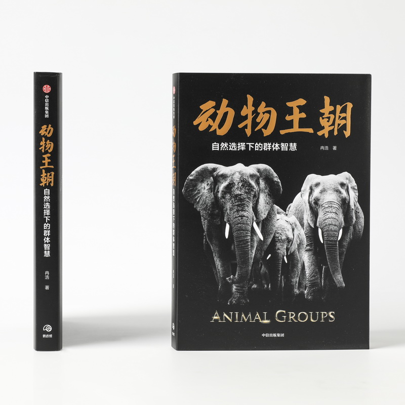 [正版]动物王朝2021文津图书奖自然选择下的群体智慧冉浩著动物群体行为大自然智慧讲述动物群体行为的纸上纪录片书店书籍高清大图
