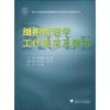 细胞病理学工作规范及指南 倪型灏 著 著 生活 文轩网