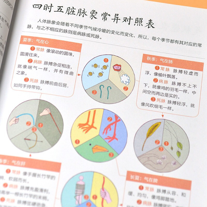 [正版图书]图解黄帝内经二十四节气养生速查全书 中医养生书籍 时令养生 养生保健知识 时令食材运动健身生活起居习惯气候饮