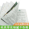 青鸟正版书国际大奖小说系列书中小学生课外阅读书籍三四五六年级必读读书推荐青少年儿童读物世界经典文学名著故事书课外书