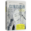 诺森玫瑰的遭遇纪尧姆·米索9787540494933湖南文艺