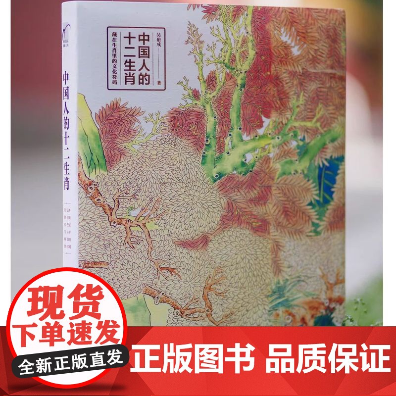 正版 中国人的十二生肖 中国传统文化十二生肖民间传说由来历史传说生肖故事民俗习惯属相中华文化经典中国风绘中国特文化遗产高清大图