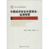 音像中国经济安全年度报告顾海兵 等 著