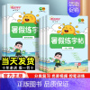 暑假练字帖 四升五 [正版]2024新版阳光同学暑假练字帖一升二升三升四升五升六年级上下册衔接语文人教版暑假作业控笔专项