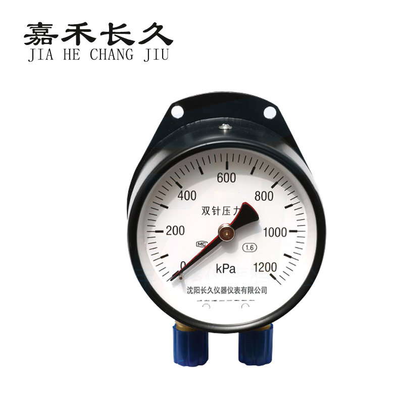 嘉禾长久/双针压力表/YCS100/个高清大图