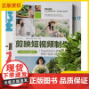 2025新书 剪映短视频制作从新手到高手 DeepSeek+豆包+即梦+特效+调色+合成 王晓蕾 视频编辑软件书籍 清华