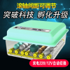 孵化器小型家用型全自动智能孵化机鸡鸭鹅鸟孵化箱鹌鹑孵蛋器定制 12枚全自动孵化机（智能控温+可调蛋盘+照蛋）