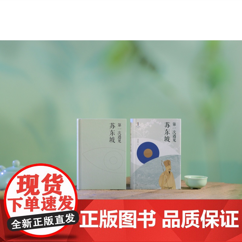 第一次遇见苏东坡 第一次遇见系列丛书衣若芬著上海人民出版社中国文化古典文学高清大图