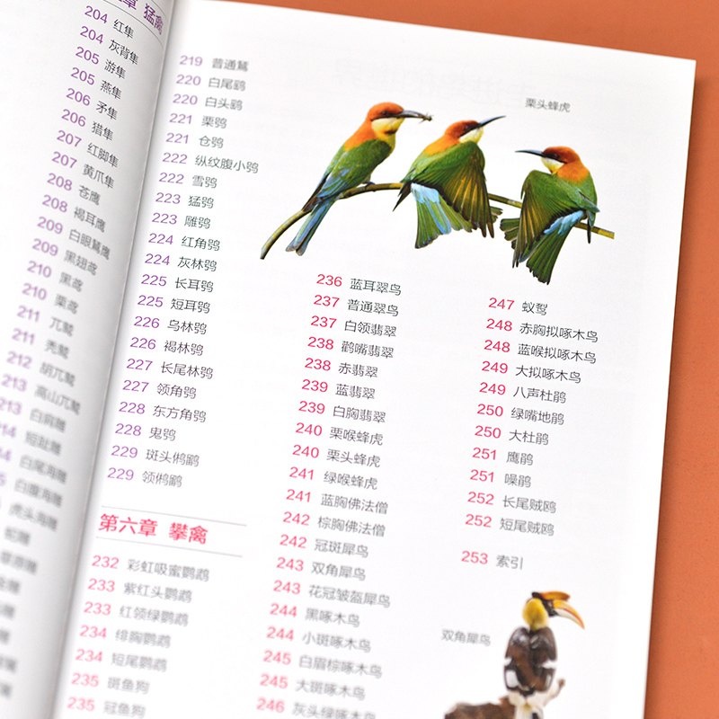 [正版]全2册 矿物与岩石图鉴+鸟图鉴 矿石百科全书 231种矿物与65种岩石鉴别指南 矿石特征知识大百科书 鸟类图鉴