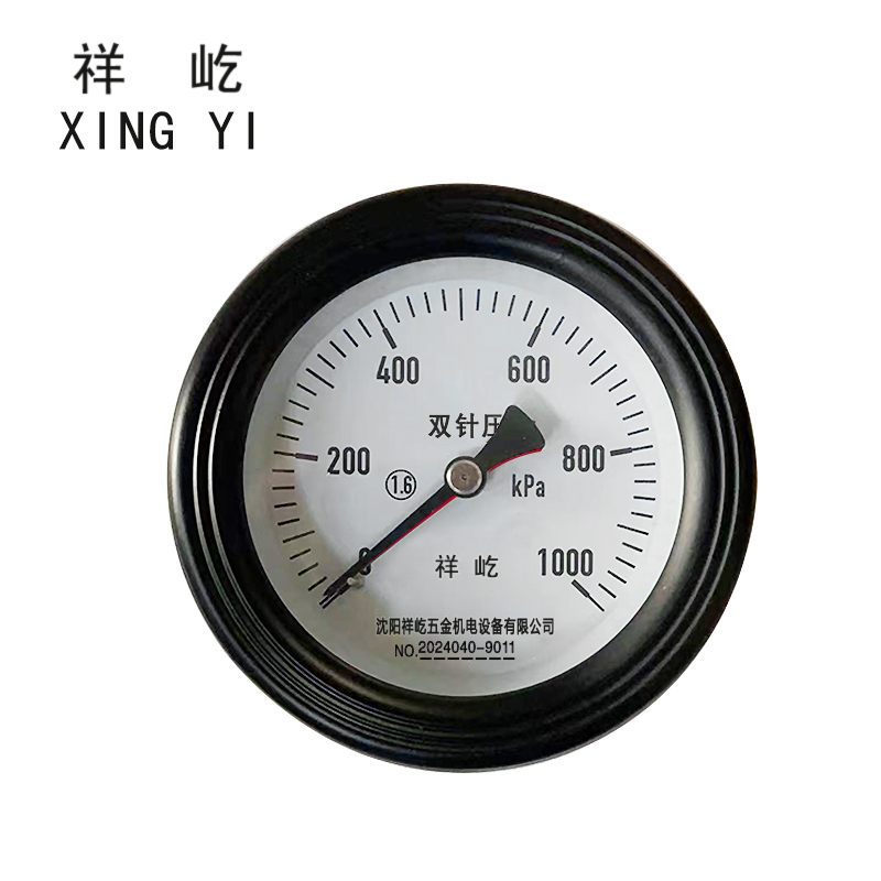 祥屹 双针双管压力表24V轴向 YYS100Z 个 0-1000Kpa