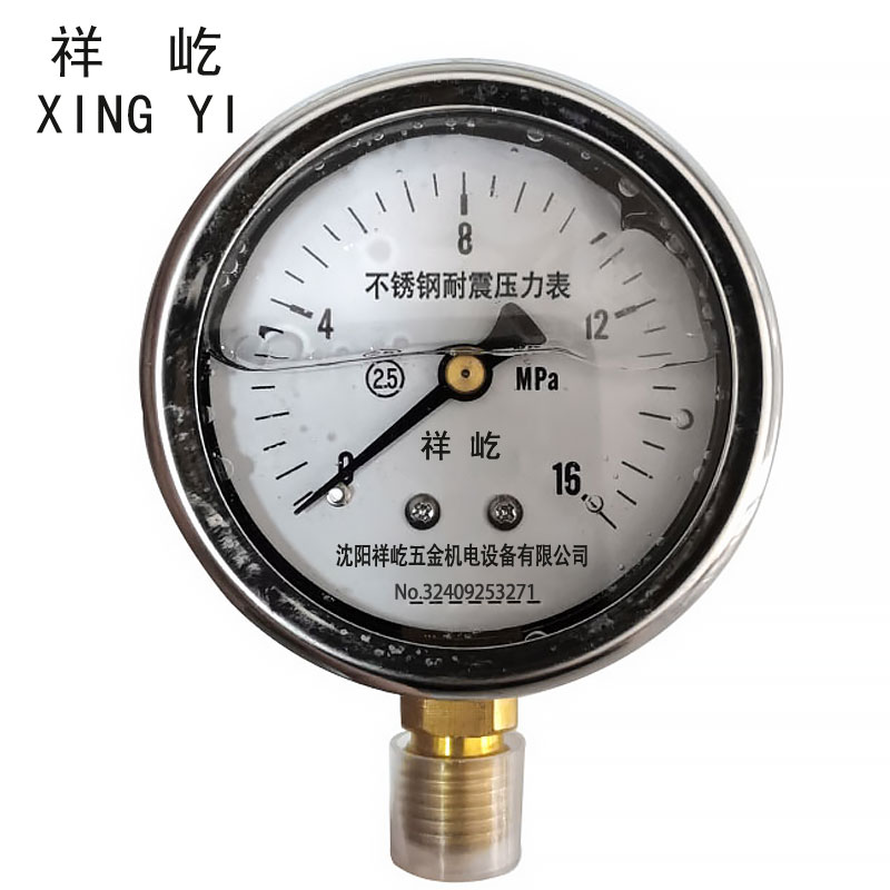 祥屹+不锈钢耐震压力表检测定制型+YN60BF +块 0-16Mpa