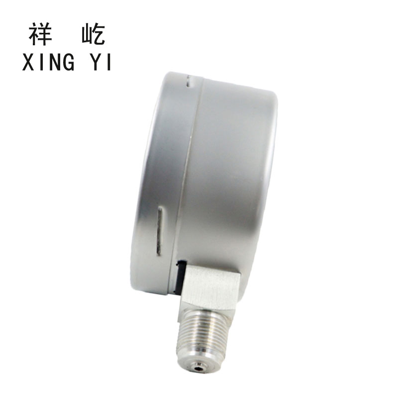 祥屹 不锈钢膜盒压力表检测定制型 YE100BF 块高清大图
