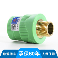 天一金牛(TIANYIJINNIU) 天一金牛 外丝直接 绿色PPR管材 PPR水管配件 外丝直接25/6分*1/2