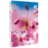 音像知日41·樱花入魂(第2版)茶乌龙
