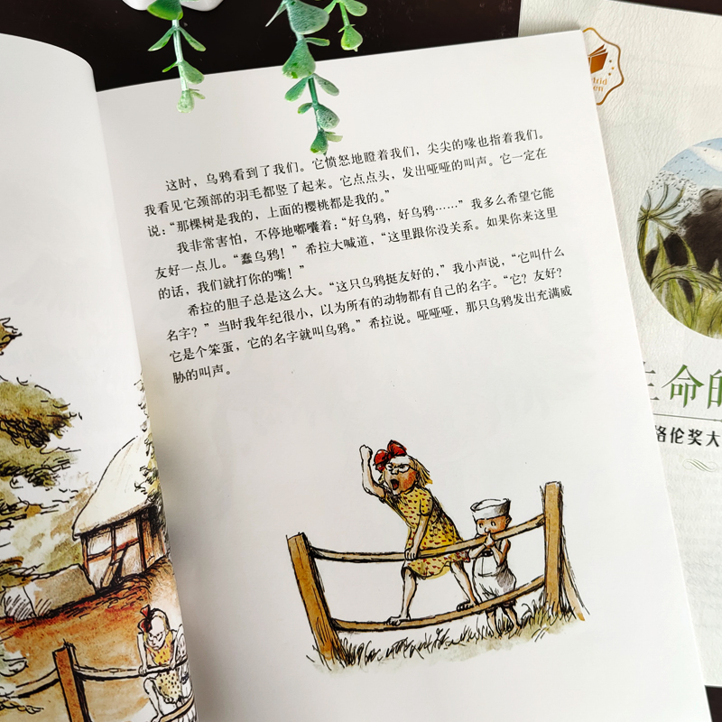 猫哈拉商店 [正版]厚脸皮的乌鸦 一年级绘本 祖庆说百班千人暑假 小学生课外书阅读书籍 厚脸皮的乌鸦书 出版社KQ36高清大图