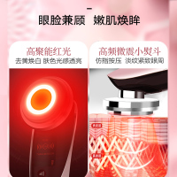 乐黛(NOTIME)SKB-1809电子美容仪 离子导入导出仪精华亮肤嫩白 光疗嫩肤导入仪 红光洗脸仪 红色