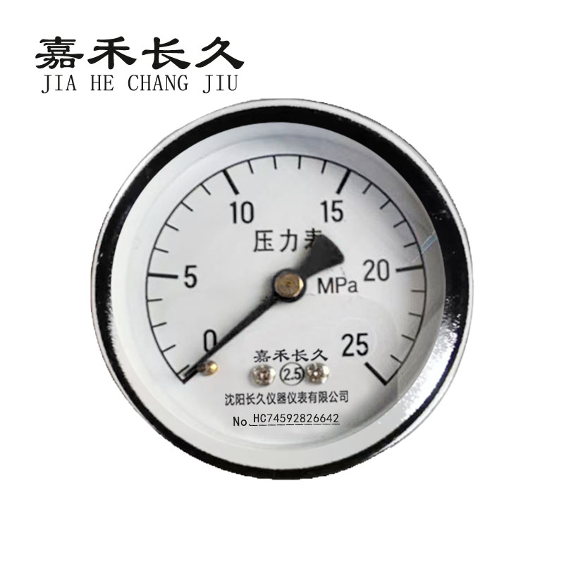 嘉禾长久+压力表轴向检测定制型+Y50Z+块 0-25Mpa