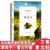 青铜葵花正版四年级下册五六年级必读课外书籍草房子曹文轩完整版 草房子