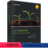 [正版] 分子植物育种 徐云碧 生命科学名著 DNA标记技术遗传图谱的构建植物遗传学和作物改良的常用群体分子植物遗传资