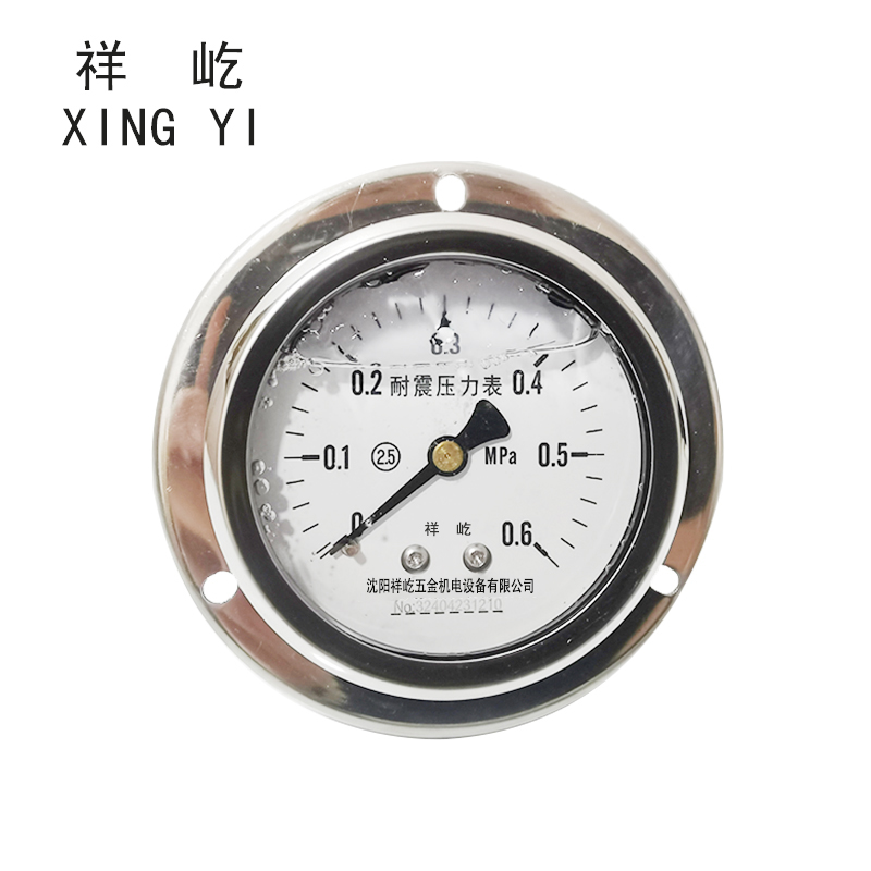 祥屹+耐震压力表轴向带边检测定制型+YTN60ZT+块 0-0.6Mpa