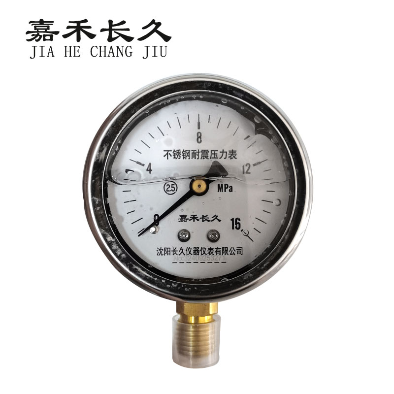 嘉禾长久+不锈钢耐震压力表检测定制型+YN60BF+块 0-16Mpa