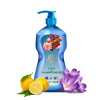 倍依泉 植萃除油祛味洗洁精500ml