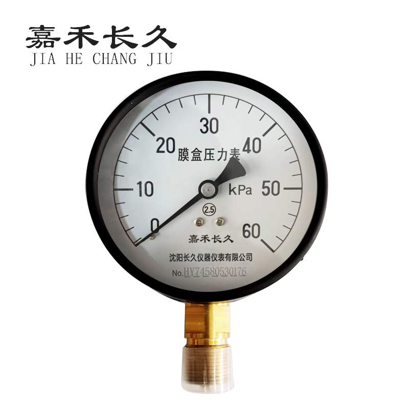 嘉禾长久 不锈钢膜盒压力表检测定制型 YE100BF 块 0-60Kpa