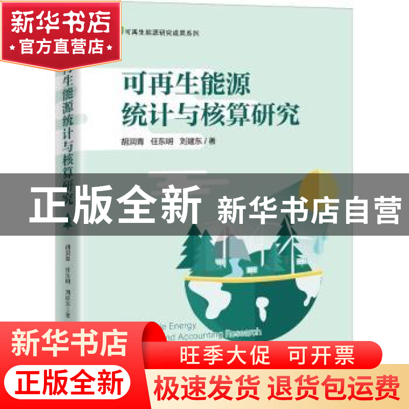 正版 可再生能源统计与核算研究 胡润青,任东明,刘建东 中国经济