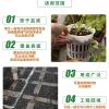 陶粒球垫底花盆防烂多肉种植铺面无土栽培营养土园艺土陶粒