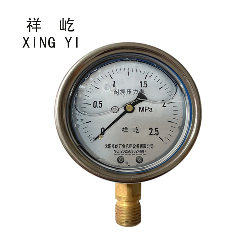 祥屹 耐震压力表 YN60 块 0-2.5Mpa