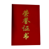 通铁印刷 (证书定制) 425*297 单位 (本)