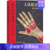 [正版]人体解剖学常用词图解 (澳)肯·阿什威尔 著 田锦勇 译 外科学参考资料图书 医学类专业书籍 科学技术文献出版社